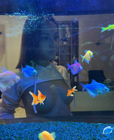 Tiffany Houston pornstar sex gallery