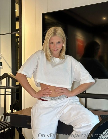 ainabarcons art star galleries