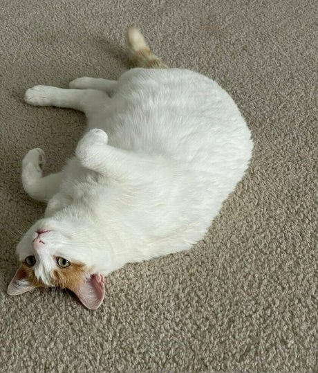 male masturbation onlyfans hot images