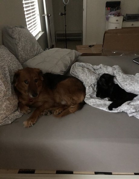 female bodybuilder onlyfans hot naked pictures