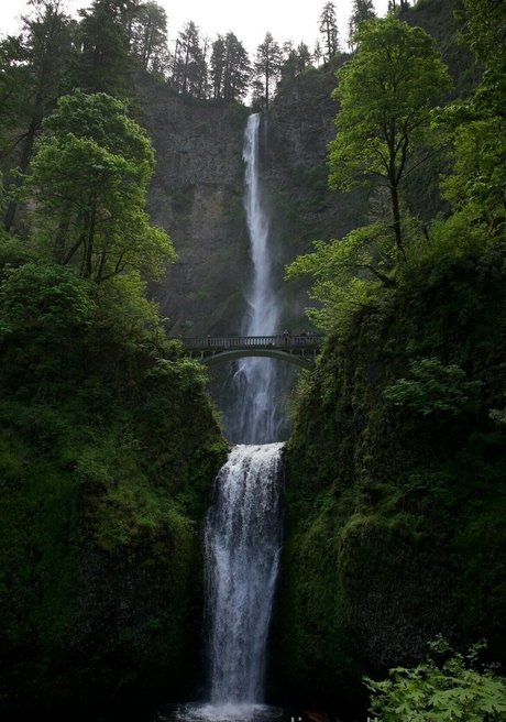 alignedbyjuniper pornstar beautiful galleries