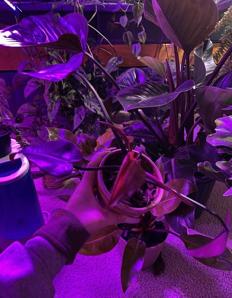 big tits cougar onlyfans free galleries