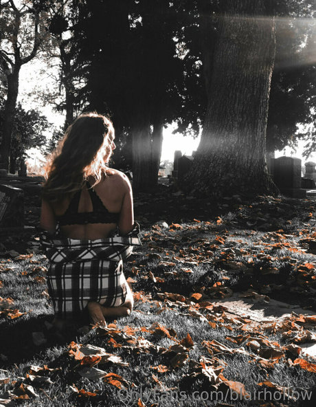 blairhollow perfect star images