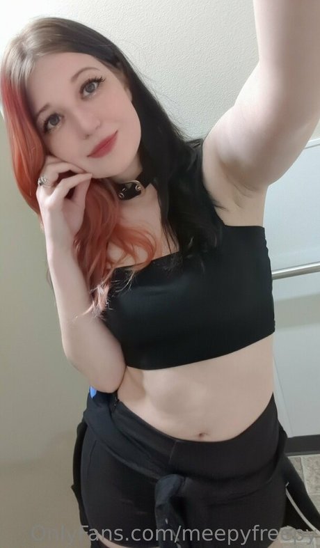 meepyfreepy nice model img