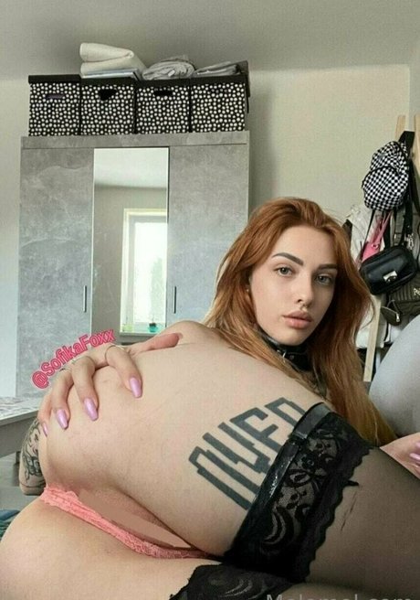 melo4free nice star images