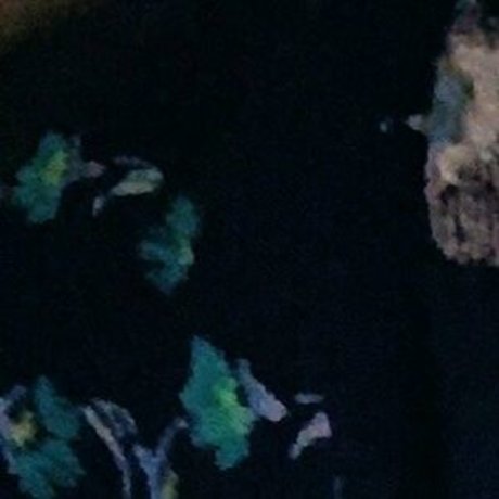 melo4free pornstar hot picture