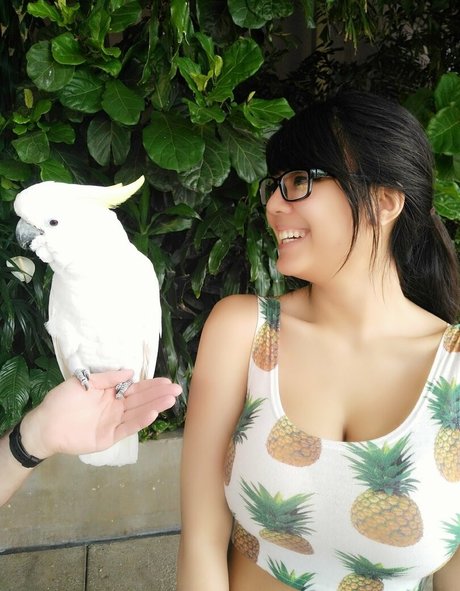 Marine star best image