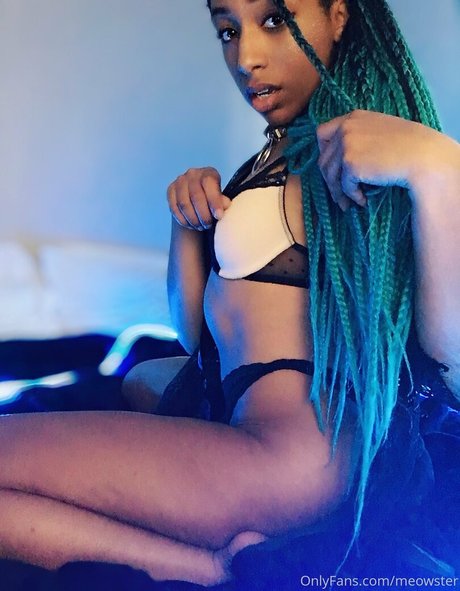 meowster best model galleries