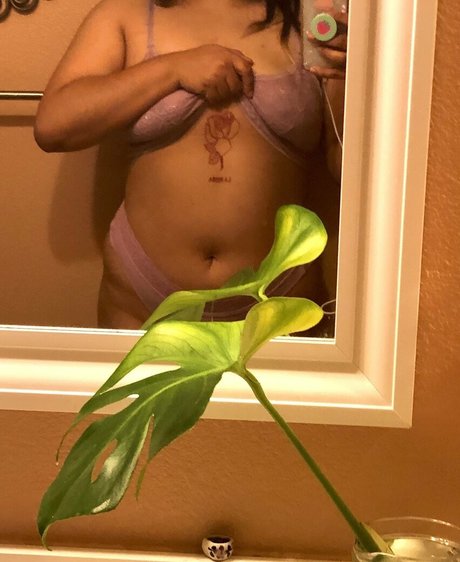 benadryldreams erotic star img