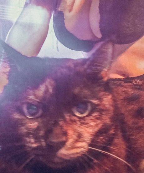 TeRefur hot star images