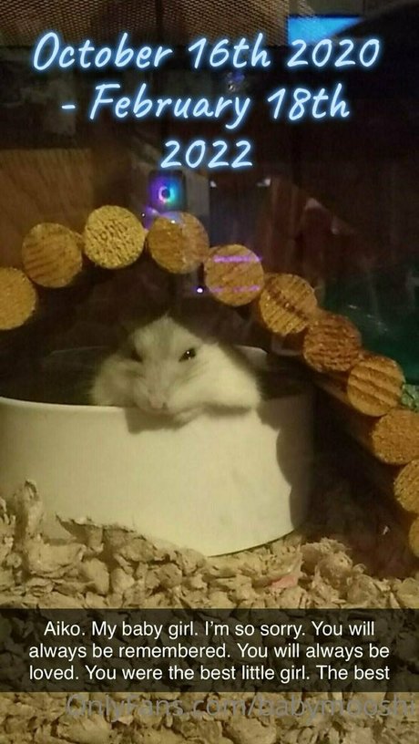 babymooshi Quick model image