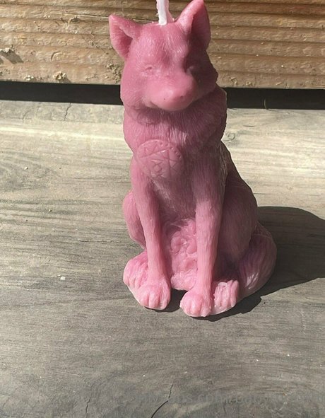 babymooshi star erotic archive