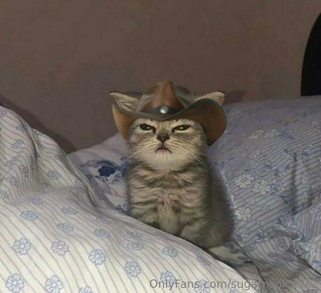 smoll n sweet 2k2 pornographic actress gallery