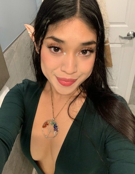 vashwty top star images