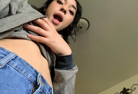 vashwty star gallery