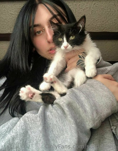 badkittymia high quality star images