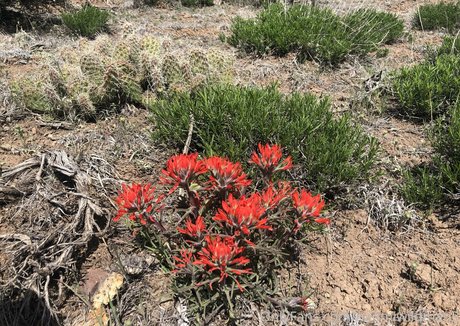 naomiwildman3 pornstar xxx galleries