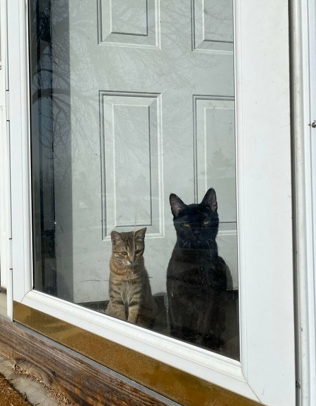 thick anal onlyfans erotic pic