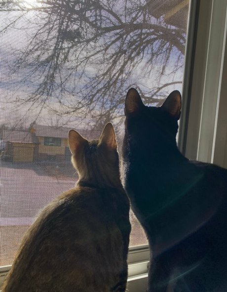 nikkiinatural sex pornstar archive