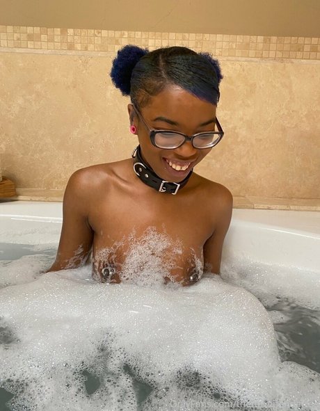 thenovapandafree adult actress archive