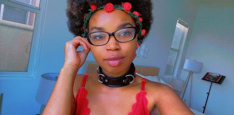 thenovapandafree star exclusive img