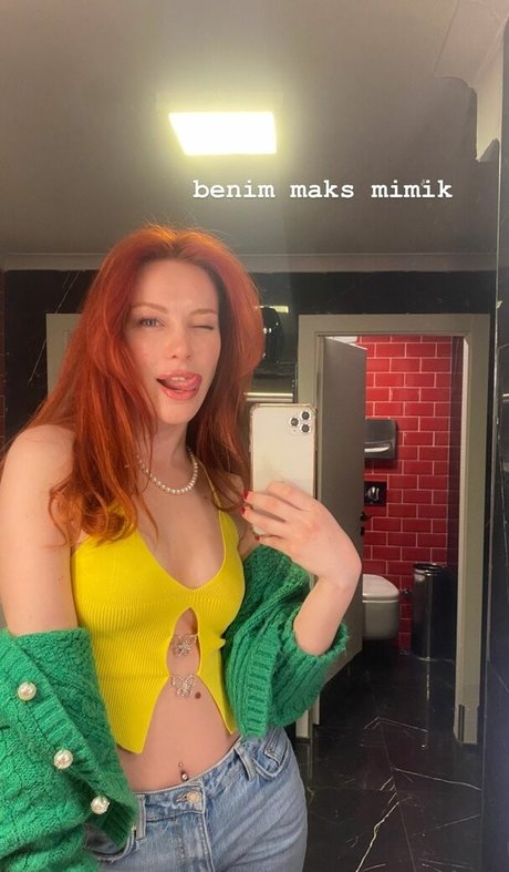 Aysennyuksel star art galleries