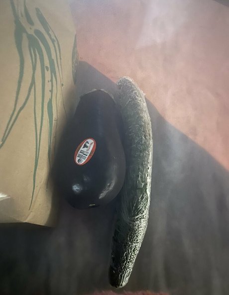 hudsonyardsbrat free pornstar photo