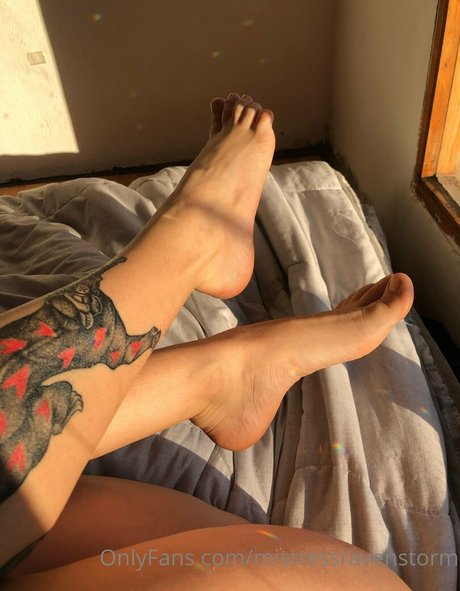 mravenstorm pornstar xxx picture