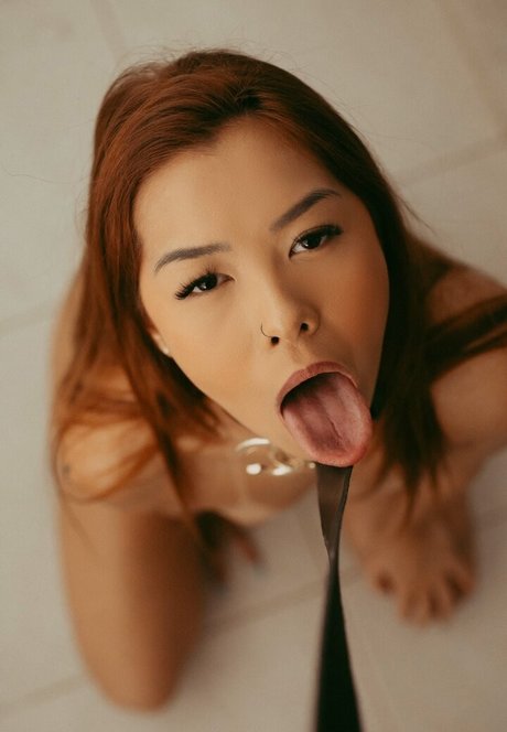 Paprika star pretty pics