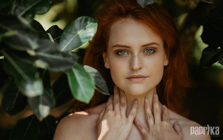 trans free onlyfans beautiful galleries