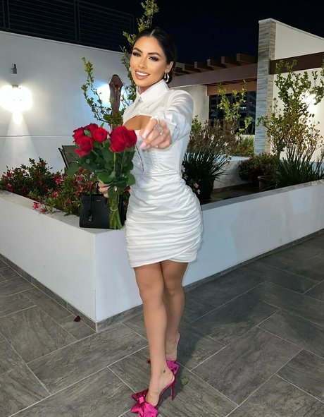 Alus exclusive model galleries