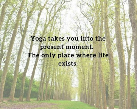 naturallivingyoga art pornstar photos