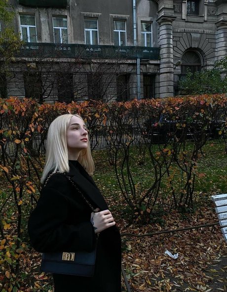 darforyou best star pic