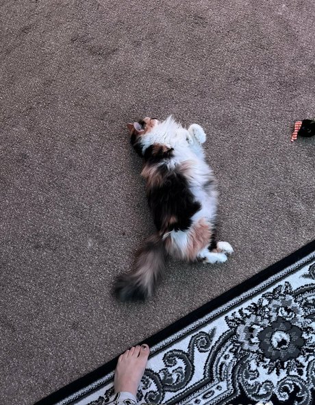 gym onlyfans nude gallery