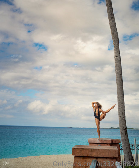 aftannoondelight star perfect gallery