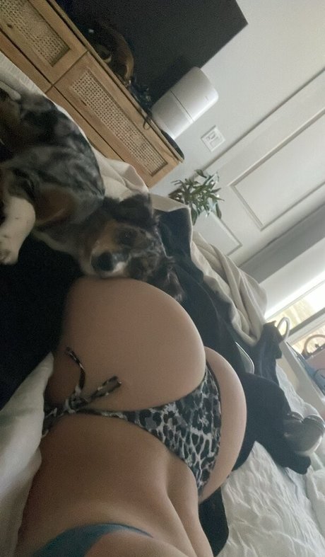 Abbagail Seidl sex actress picture