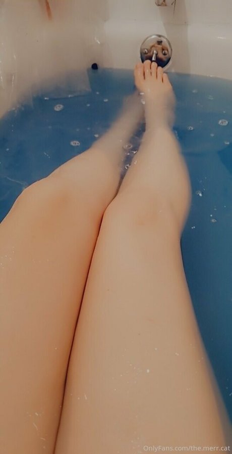 the merr cat free model pictures