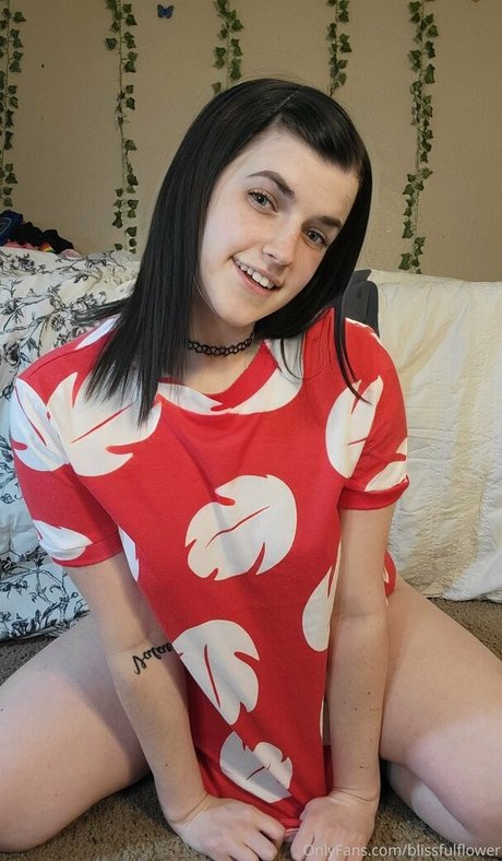 blisscatalog star hd photos