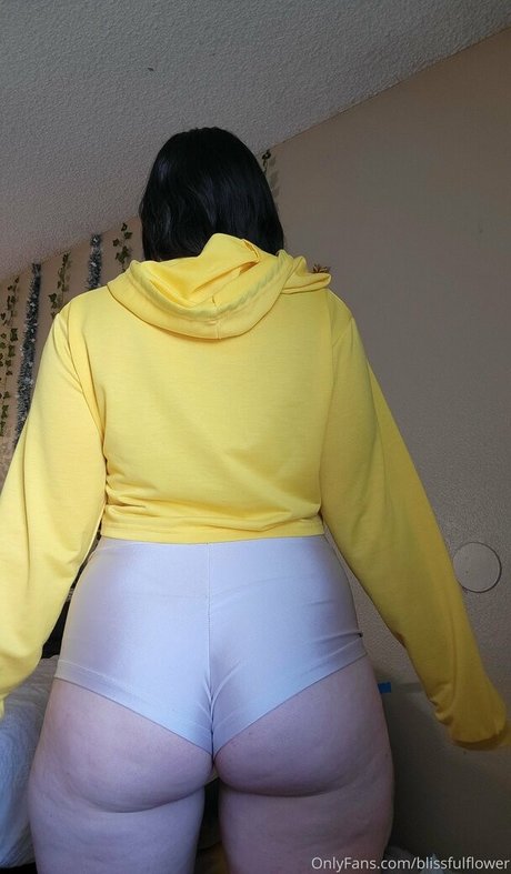 blisscatalog model perfect galleries