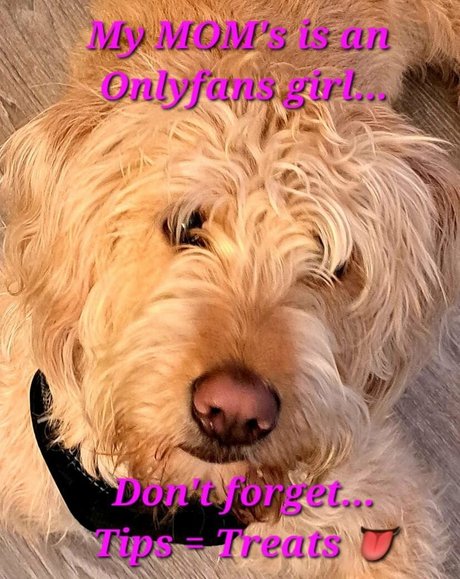 tennesseegirl72 model nudes image