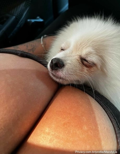 bbw pov onlyfans free gallery