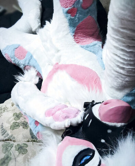 Murrsuit Profile pic