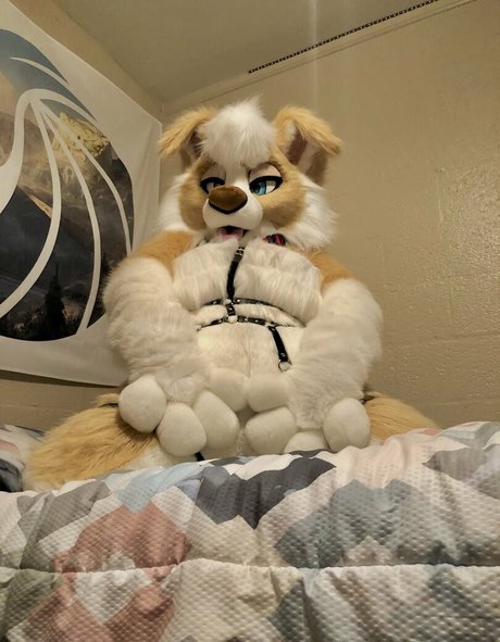 Murrsuit star exclusive images