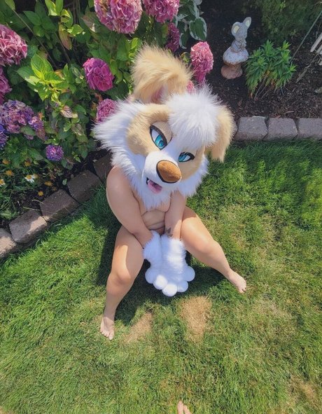 Murrsuit star naked img