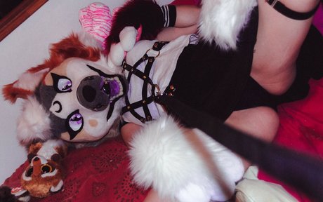 Murrsuit high quality model galleries