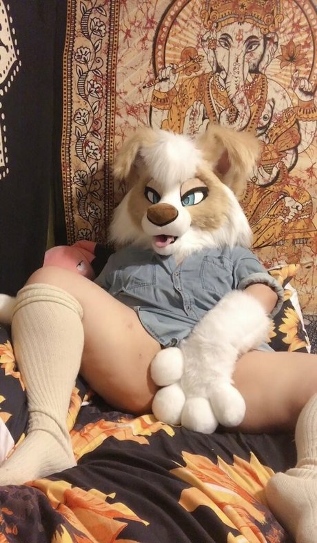 Murrsuit erotic pornstar images