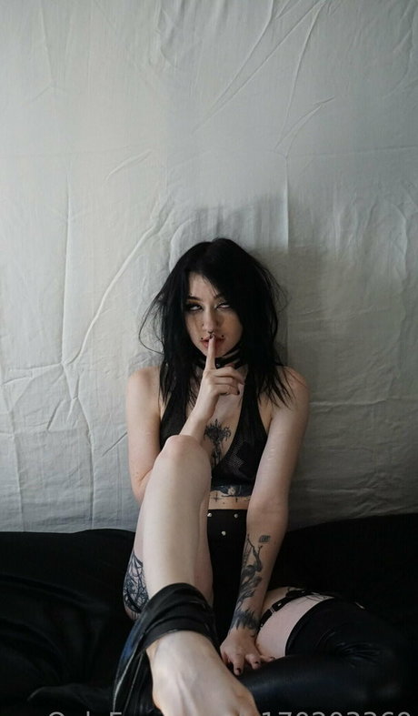 domtrickzz pornstar perfect picture