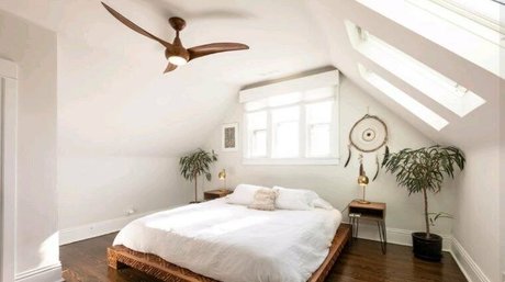 ellabarnettvip art star gallery