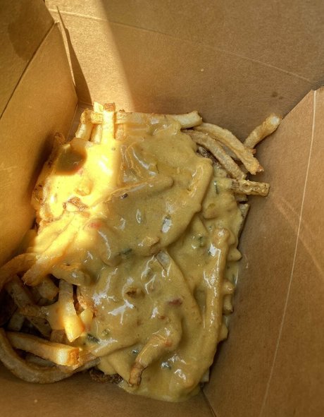 brookes world model art photos