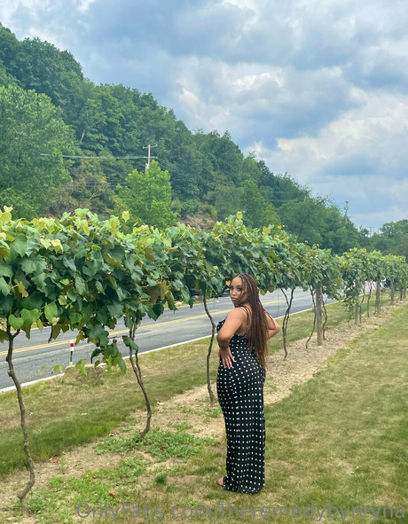 theremedybyreyna nice star gallery